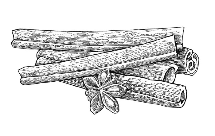 Black and white sketch of Cinnamon Sticks