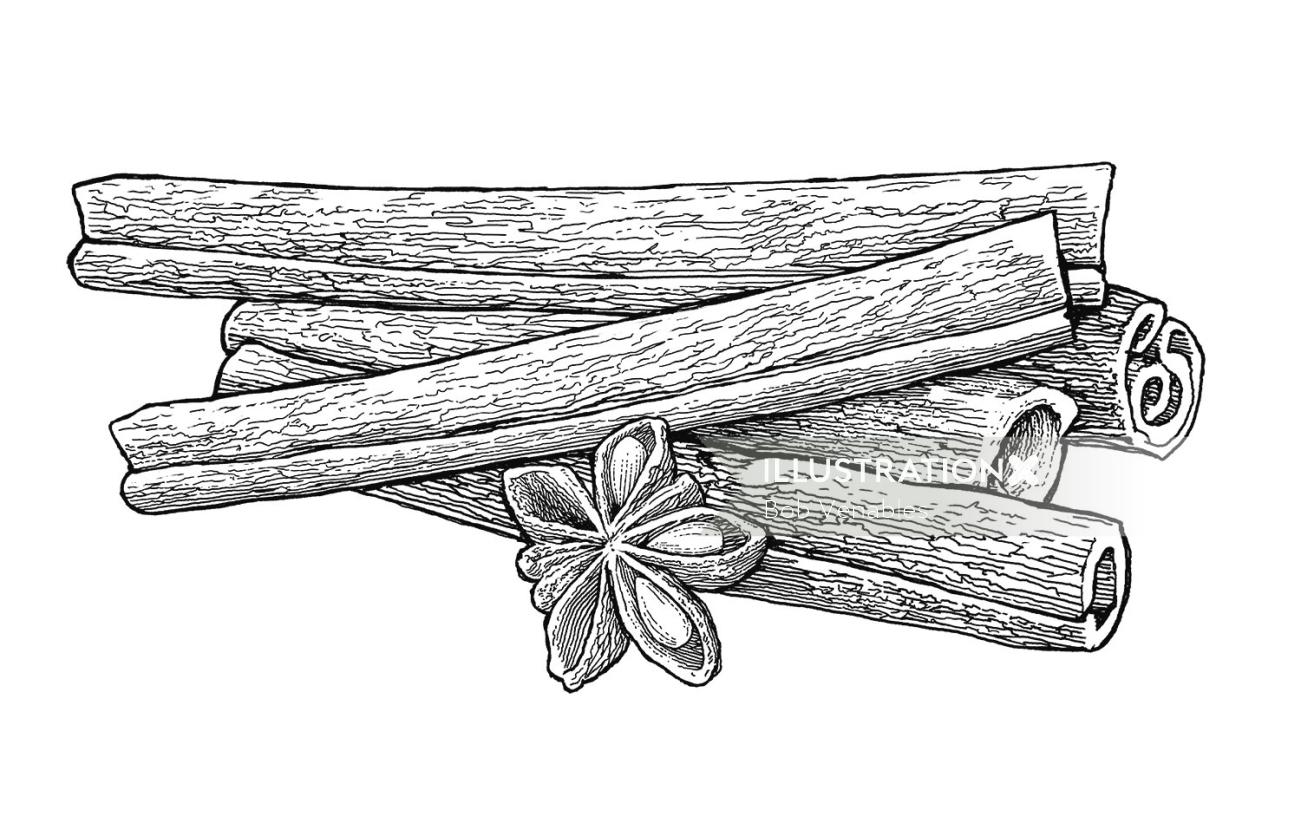 Black and white sketch of Cinnamon Sticks