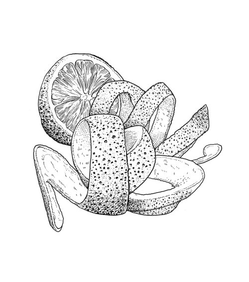 Illustration en noir et blanc de fruits orange