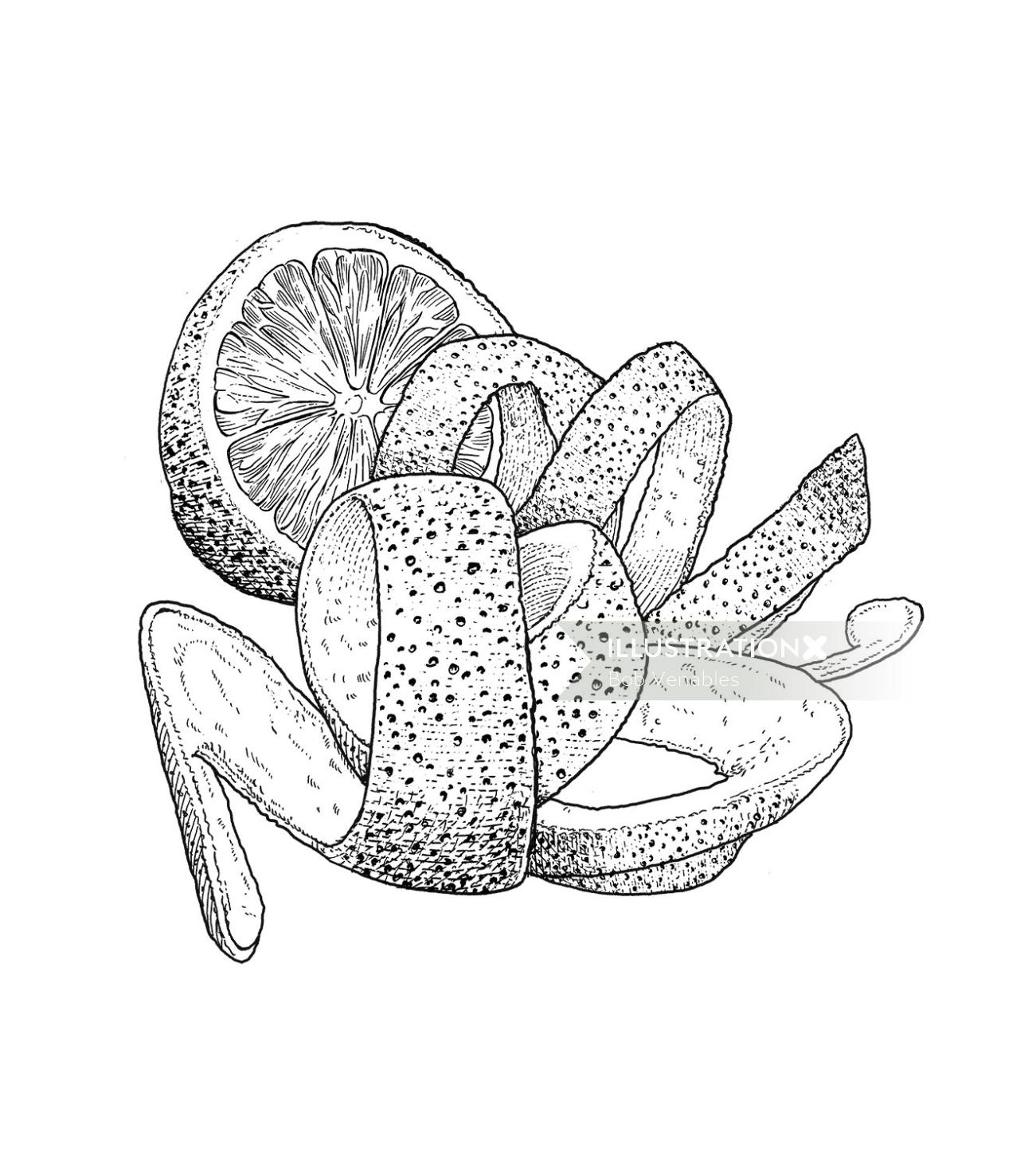 オレンジ色の果物の黒と白のイラスト