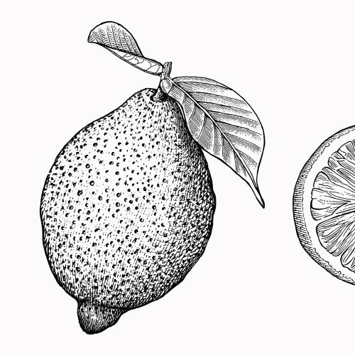 Black and white illustration of Pear & Orange fruit