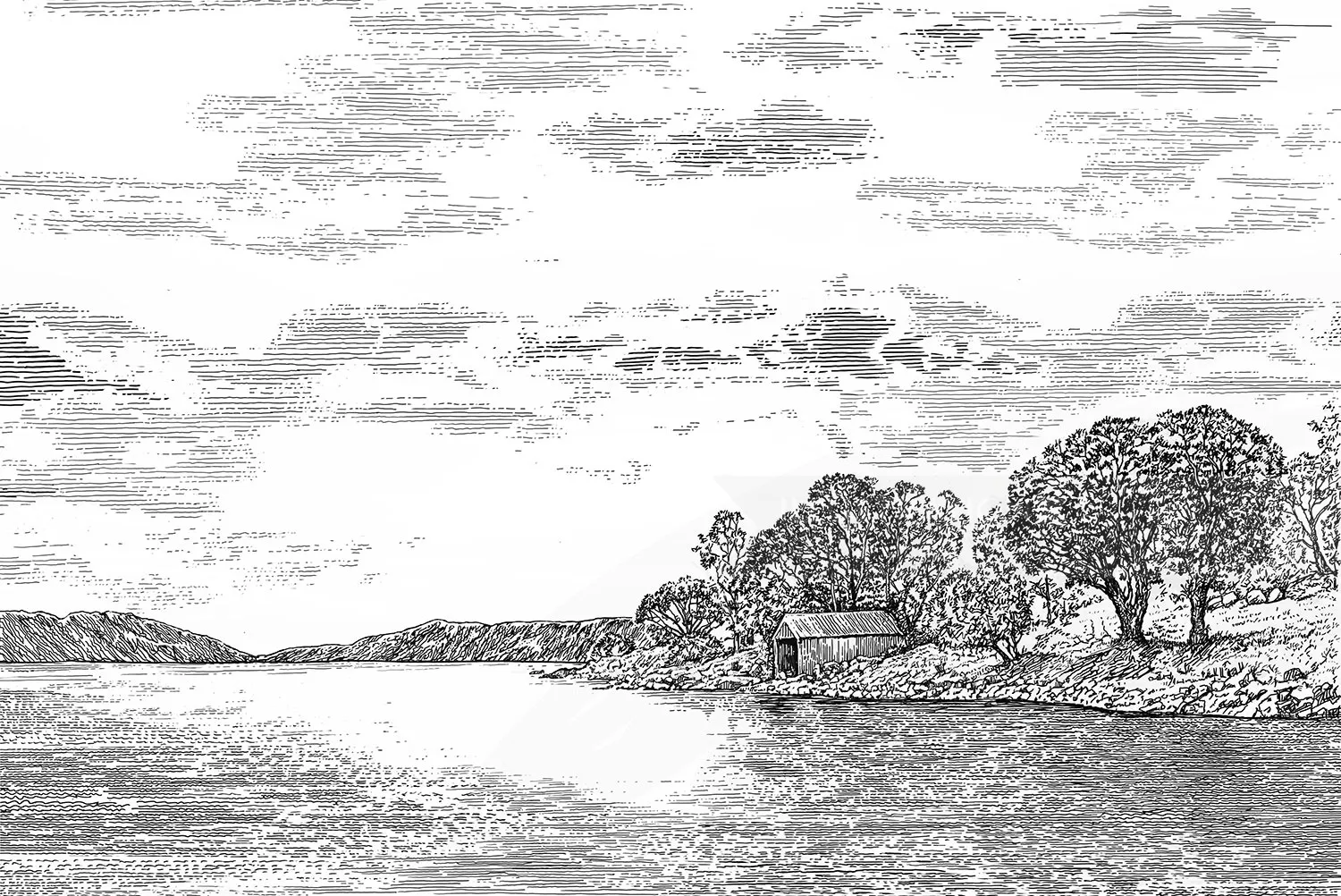 Lake view black and white design