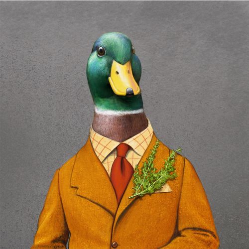 Anthropomorphic Duck bird illustration