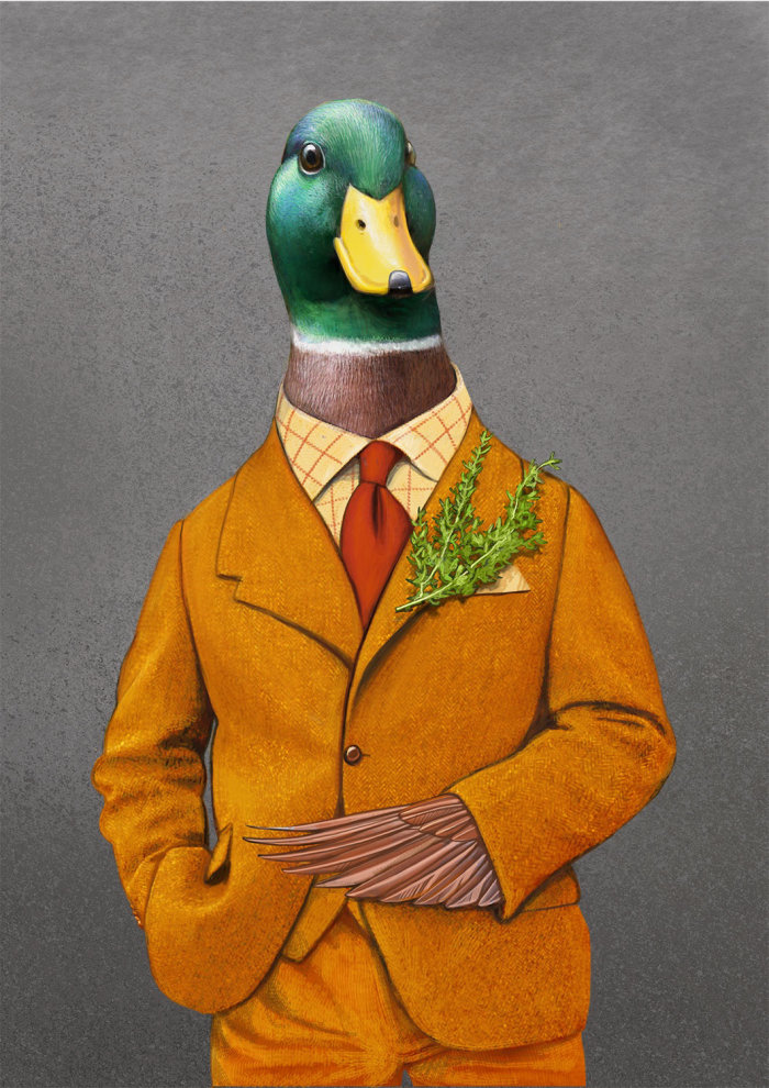 Anthropomorphic Duck bird illustration