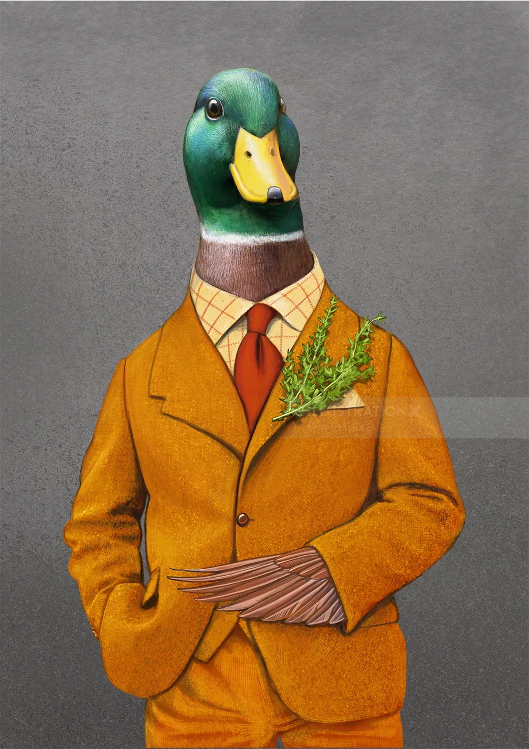 Anthropomorphic Duck bird illustration