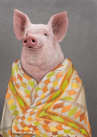 Retrato de porco animal