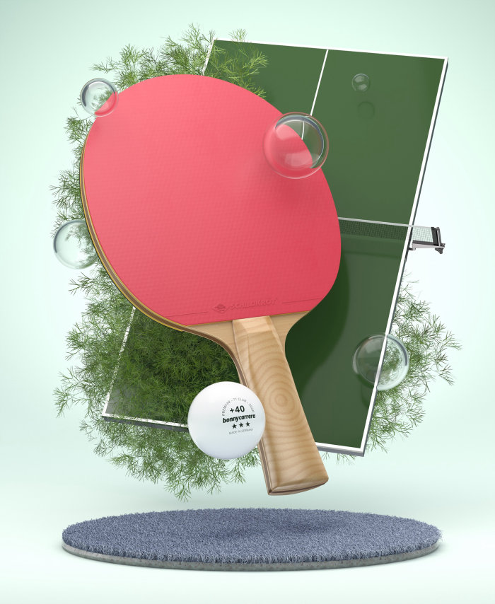 3d table tennis board and bat
