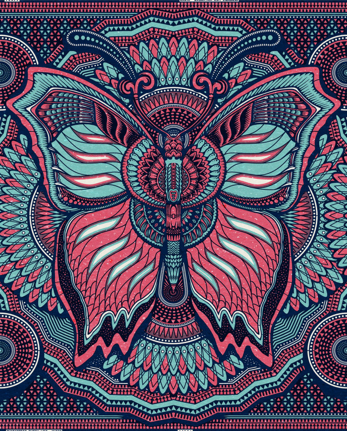 Illustration of a butterfly for vlisco