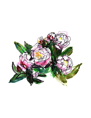 Watercolor peonies with green leaves by Briana Kranz