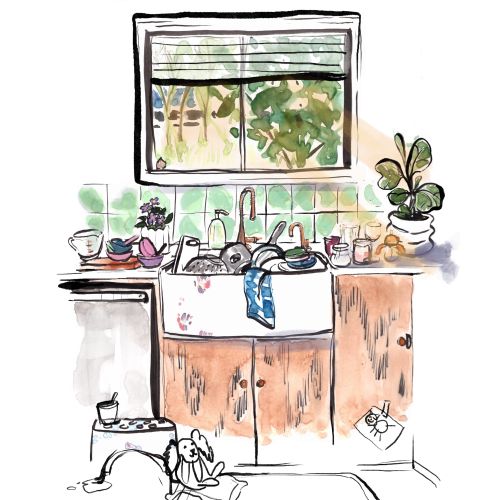 Cozy kitchen sink with dishware and plants by Briana Kranz