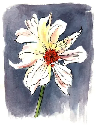 White flower with red center watercolor painting on dark background