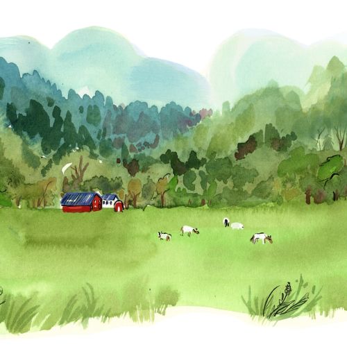 Car driving on a green field near forest with sheep grazing