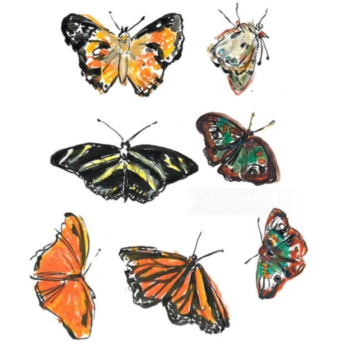 Sieben Aquarell-Schmetterlinge in verschiedenen Farben und Mustern