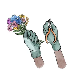 Illustration of gloved hands holding flowers and pruning shears by Briana Kranz