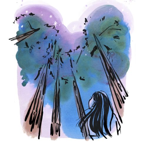 Woman looking up at starry night sky with tall trees by Briana Kranz