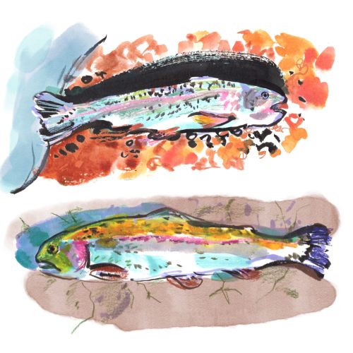 Briana Kranz Locker Illustrator from United States