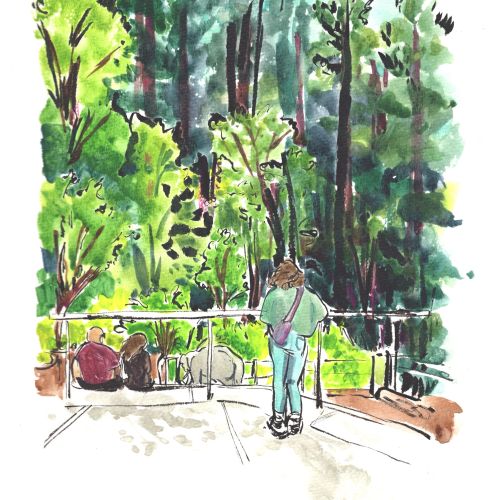 Briana Kranz Botanical Illustrator from United States