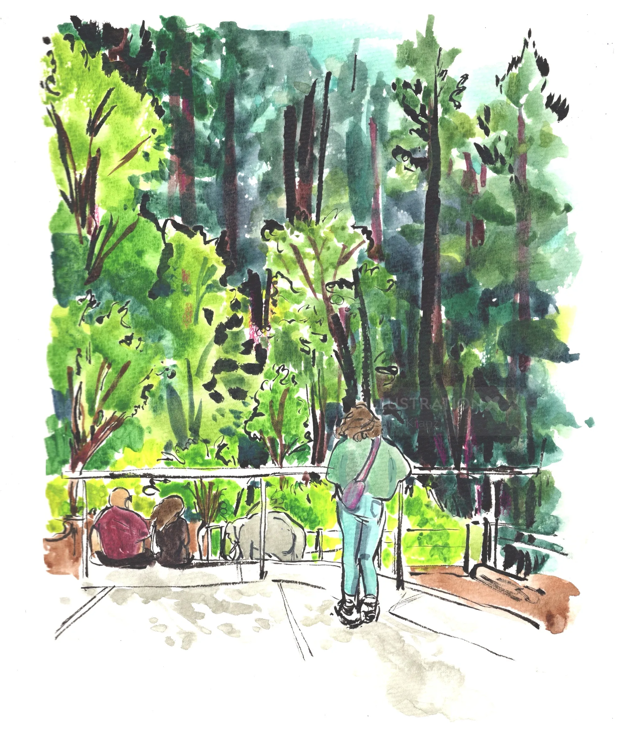 People viewing lush greenery at Oregon Zoo, by Briana Kranz