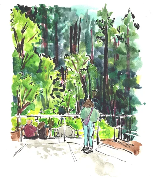 People viewing lush greenery at Oregon Zoo, by Briana Kranz