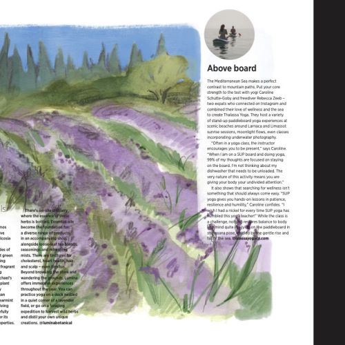 Lavender garden landscape illustration by Briana Kranz with magazine text panels.