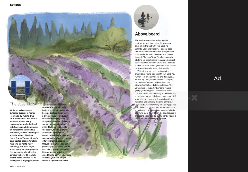 Illustration einer Lavendelgartenlandschaft von Briana Kranz mit Magazintextfeldern.
