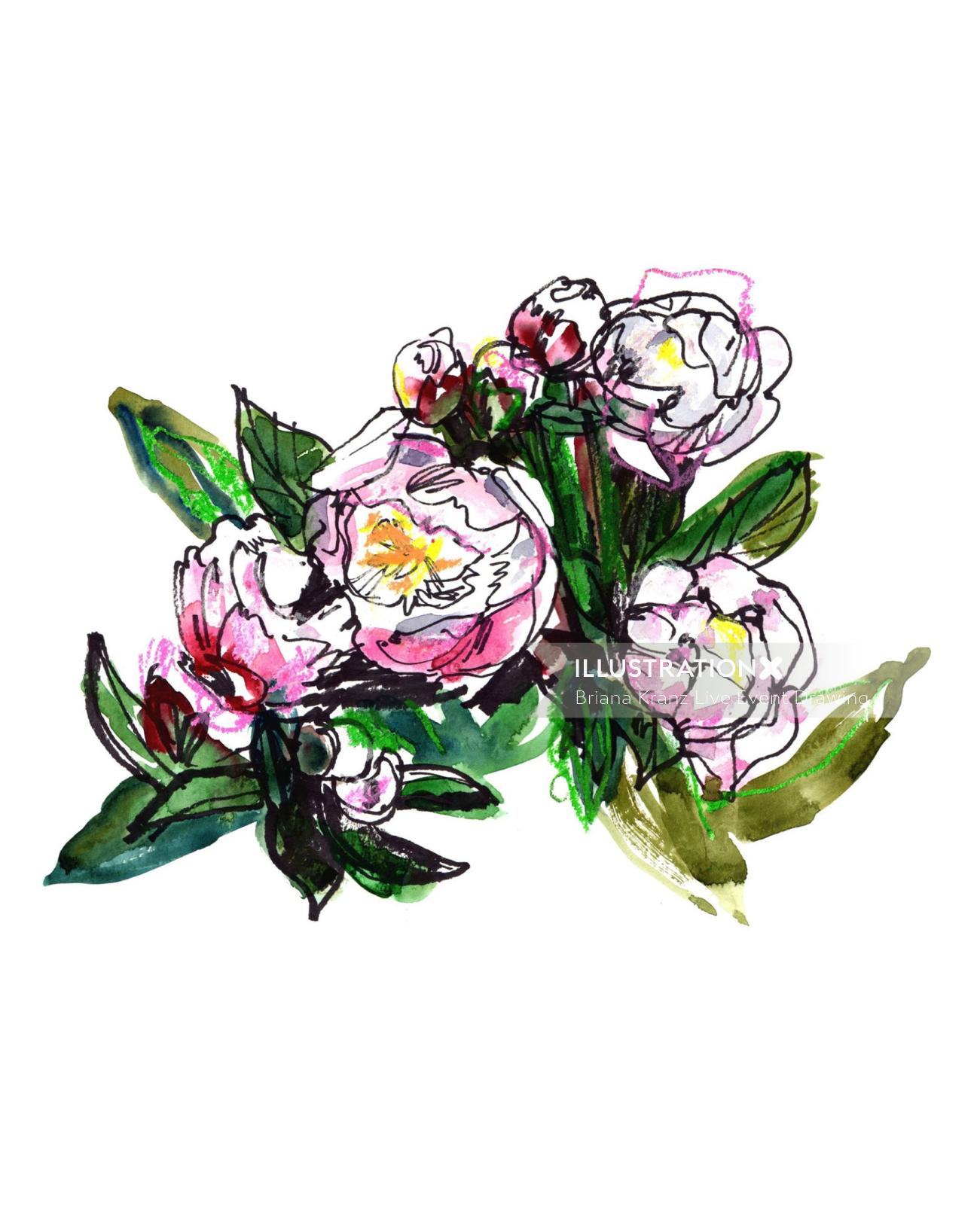 Watercolour painting of peonies