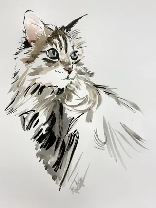Ink and watercolor sketch of a long-haired cat by Briana Kranz