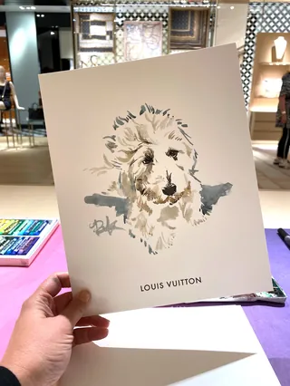 Hand-drawn dog illustration with Louis Vuitton logo by Briana Kranz