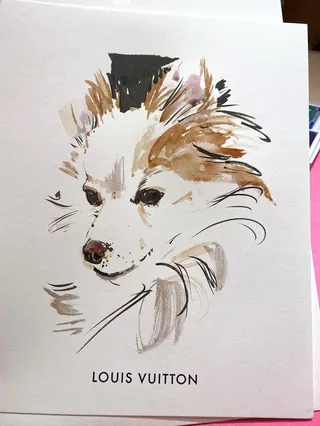 Sketch of a dog in soft brown and black tones by Briana Kranz