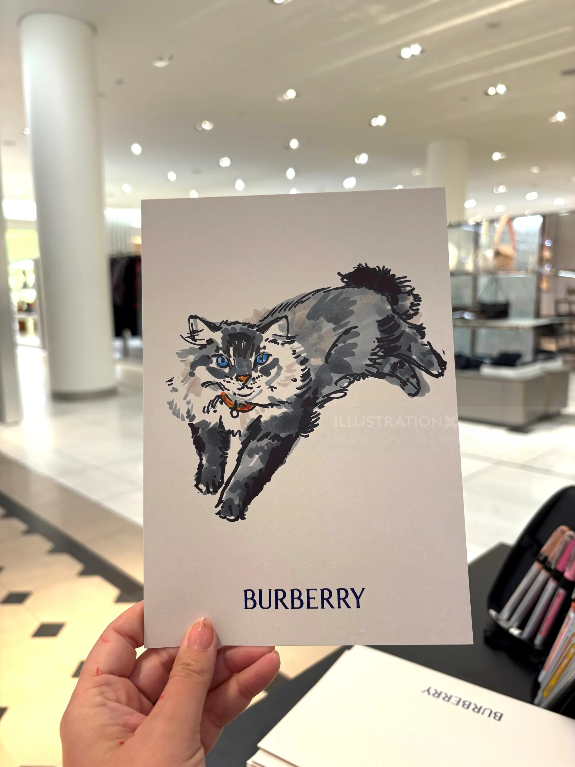 Cat illustration on Burberry card by Briana Kranz in a retail store
