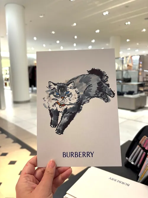 Cat illustration on Burberry card by Briana Kranz in a retail store