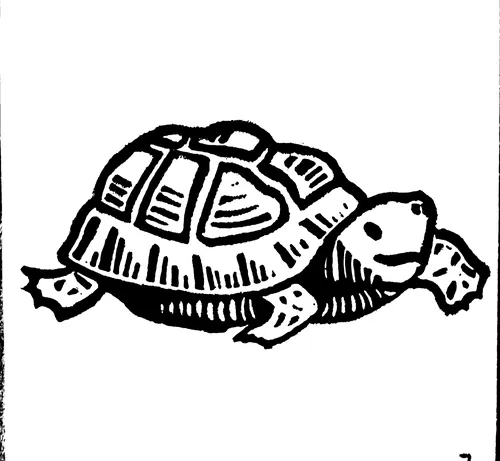 Tortoise linocut illustration by Burin and Plate