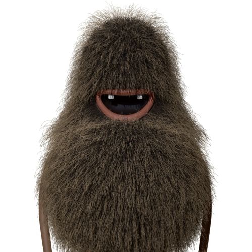 character design of hairy animal
