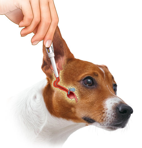 Dog went for medical treatment graphical illustration