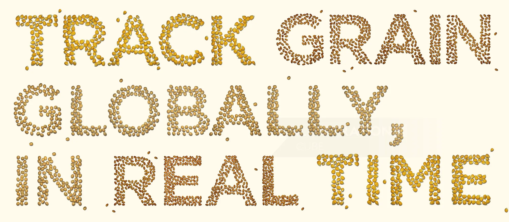 Track grain globally in real time text made of grain seeds by CUBE