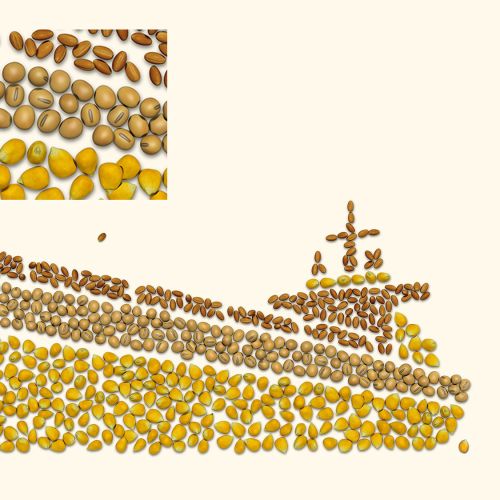 Grains arranged to form a cargo ship silhouette by CUBE
