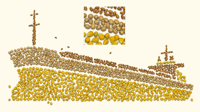 Grains arranged to form a cargo ship silhouette by CUBE