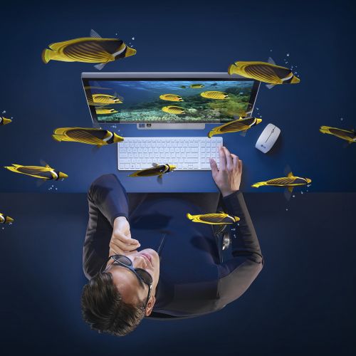 Man working on laptop surrounded by floating fish, artwork by CUBE