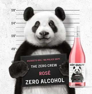Panda holding a mugshot sign next to a bottle of Not Guilty rosé by CUBE