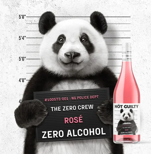 Panda holding a mugshot sign next to a bottle of Not Guilty rosé by CUBE