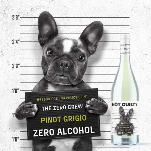 French Bulldog mugshot holding sign with Pinot Grigio bottle by CUBE