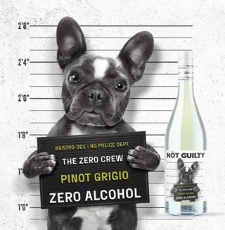 French Bulldog mugshot holding sign with Pinot Grigio bottle by CUBE