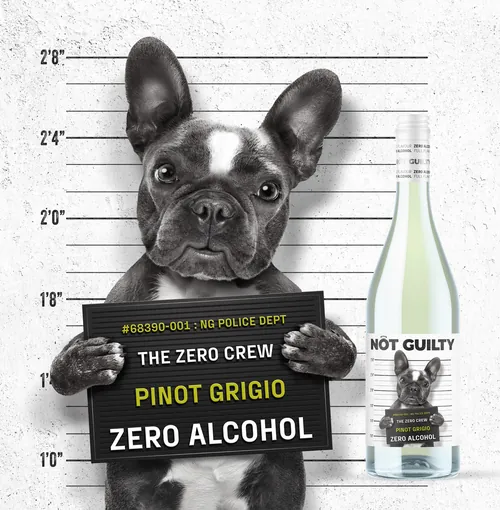 French Bulldog mugshot holding sign with Pinot Grigio bottle by CUBE
