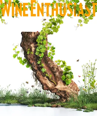 Grapevine shaped like California with green leaves and bees