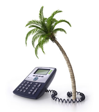 Illustration de palmier et de téléphone