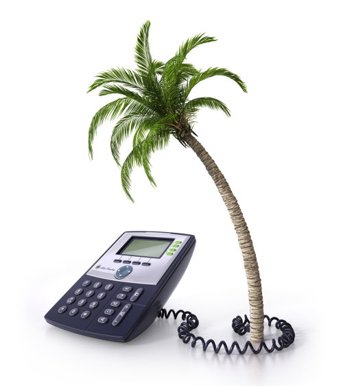 Palm tree and telephone illustration