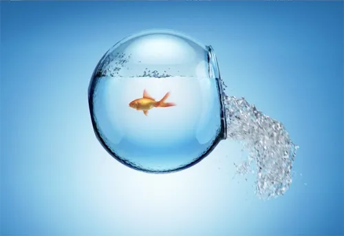 Accu-Chek Fish bowl Animation