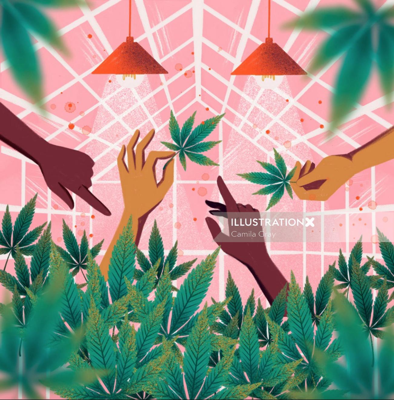 大麻植物的水彩画