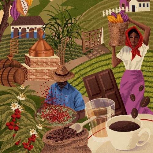 Coffee and chocolate plantation mural for store wall