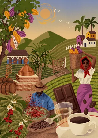 Coffee and chocolate plantation mural for store wall